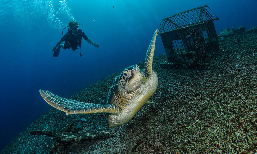 Day 7: Gili Dive Village